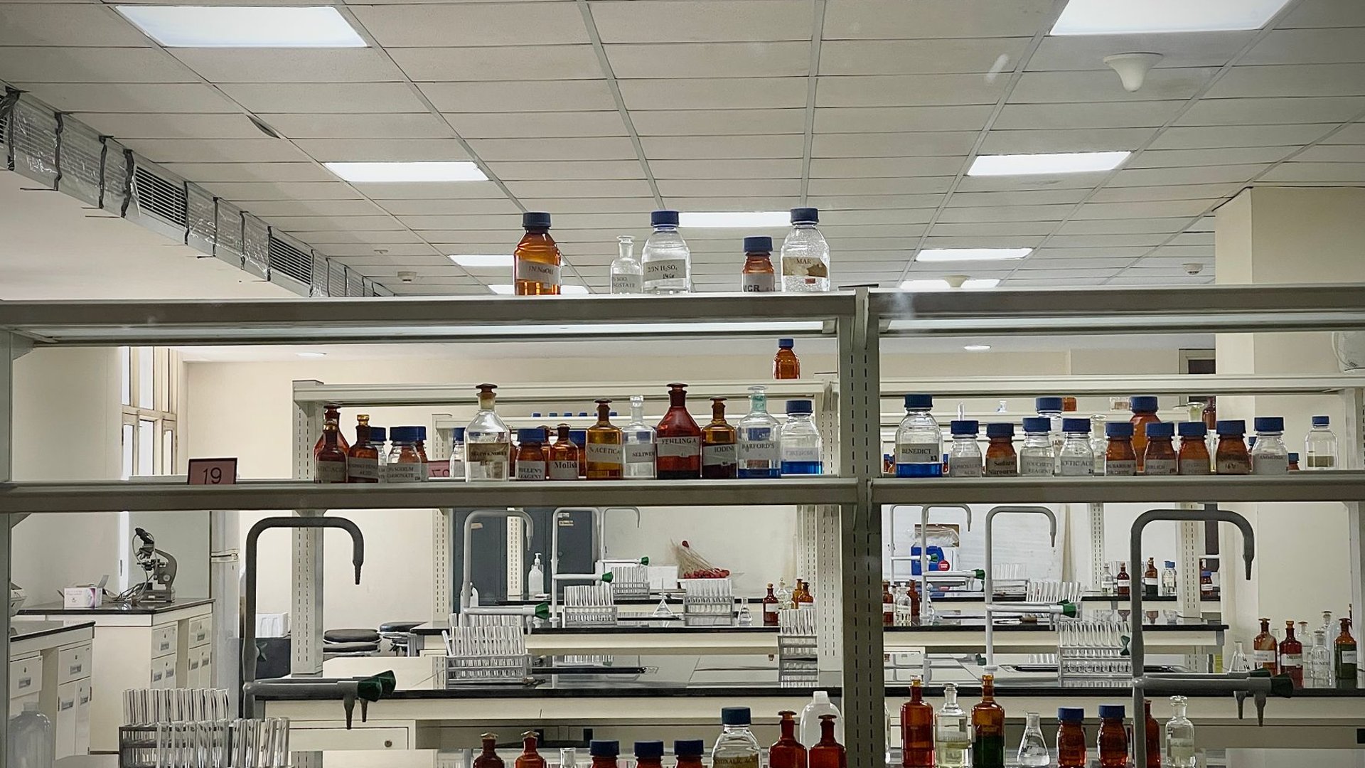 Chemikalienflaschen in offenen Regalen eines Labors